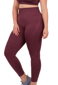 Seamless High Waist Full Length Leggings